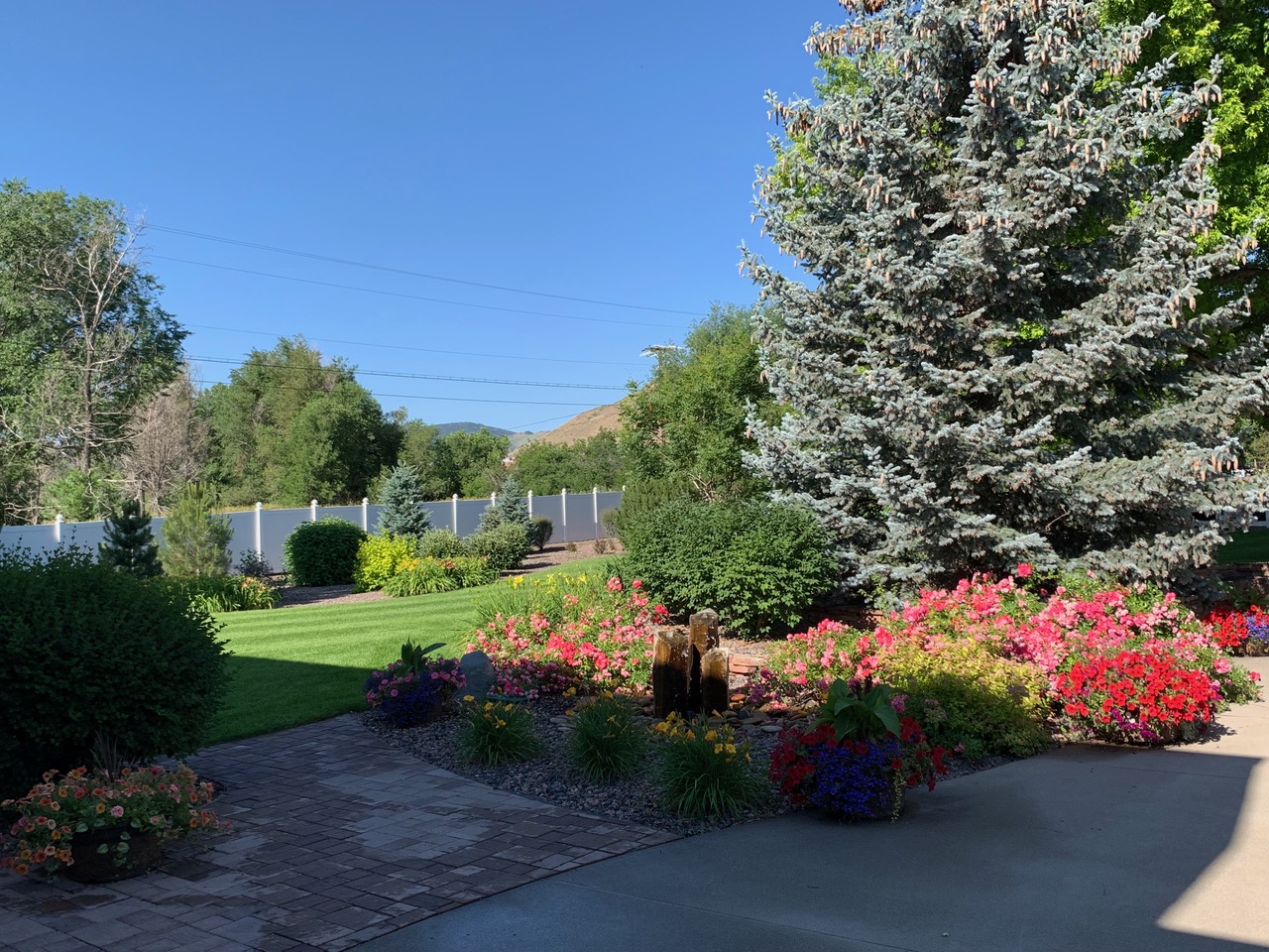 landscape flowers